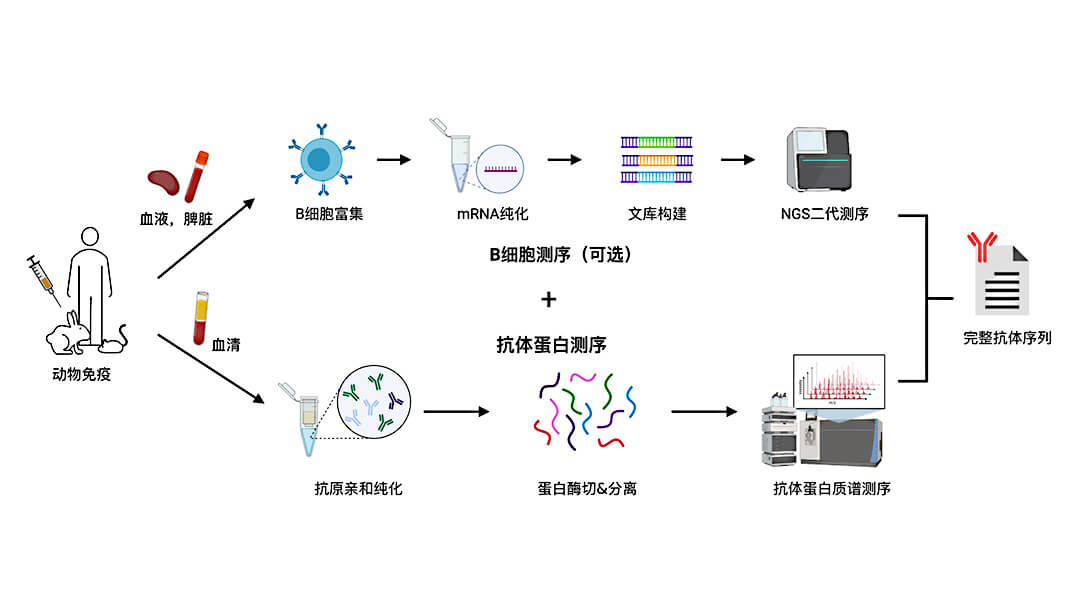 技術(shù)流程