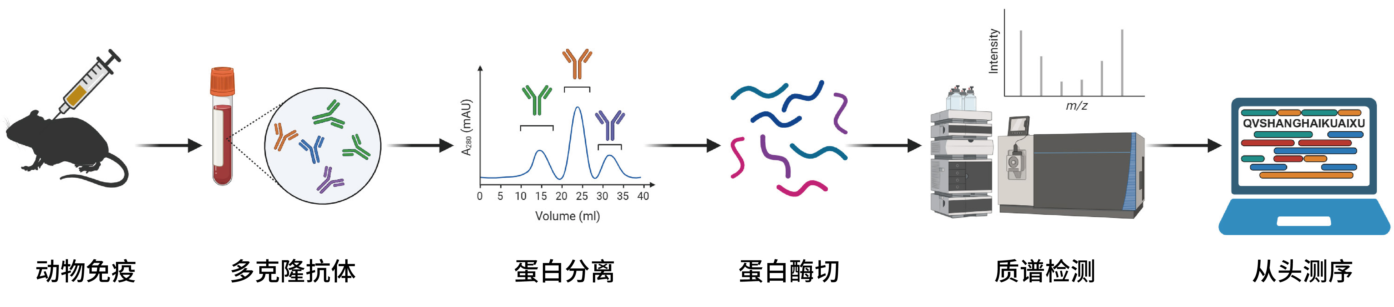 技術(shù)流程